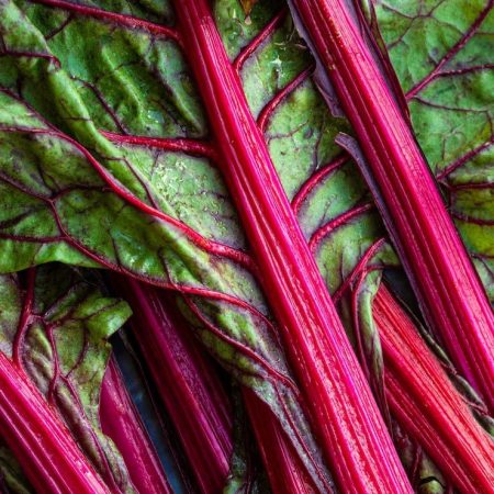 Semillas Ecológicas de Acelga Roja