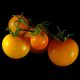 Tomate Cherry Amarillo Indian Moon